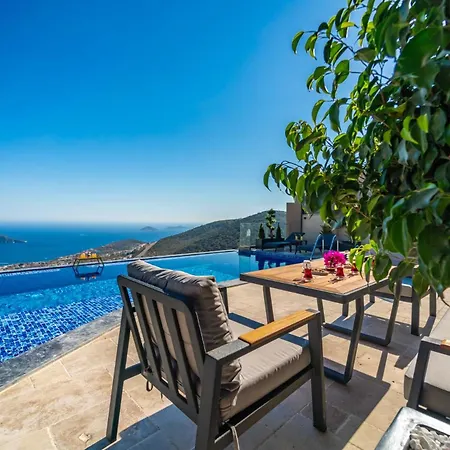 Eco Big Eyes Villa